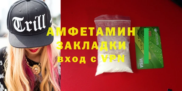 сатива Беломорск