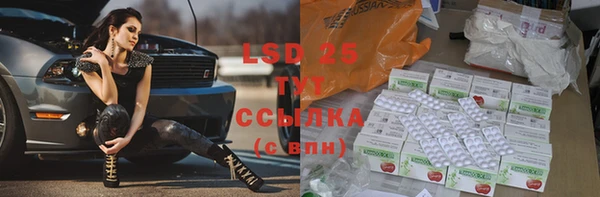 сатива Беломорск