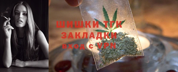 сатива Беломорск