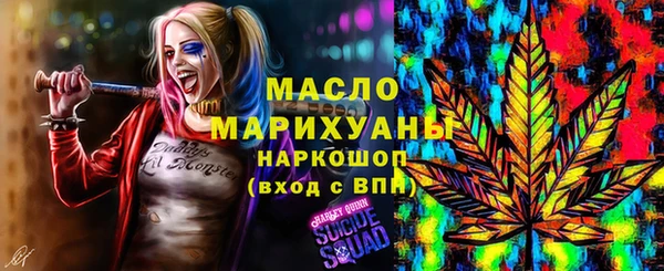 сатива Беломорск