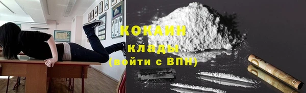 сатива Беломорск