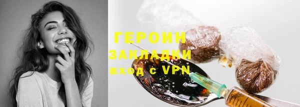 сатива Беломорск