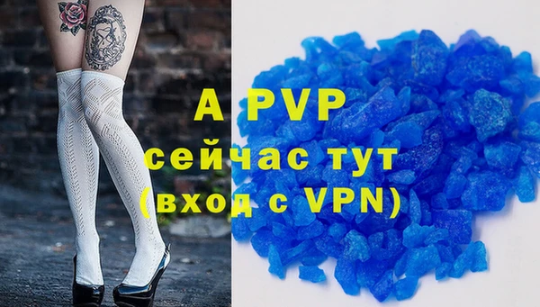 сатива Богородицк