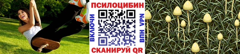 купить наркотик  Горячий Ключ  МЕГА вход  Псилоцибиновые грибы Magic Shrooms 