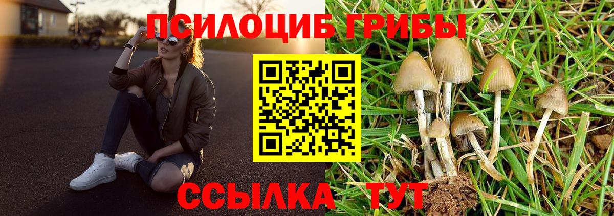 Псилоцибиновые грибы GOLDEN TEACHER  купить наркотик  Горячий Ключ  Вход с VPN 