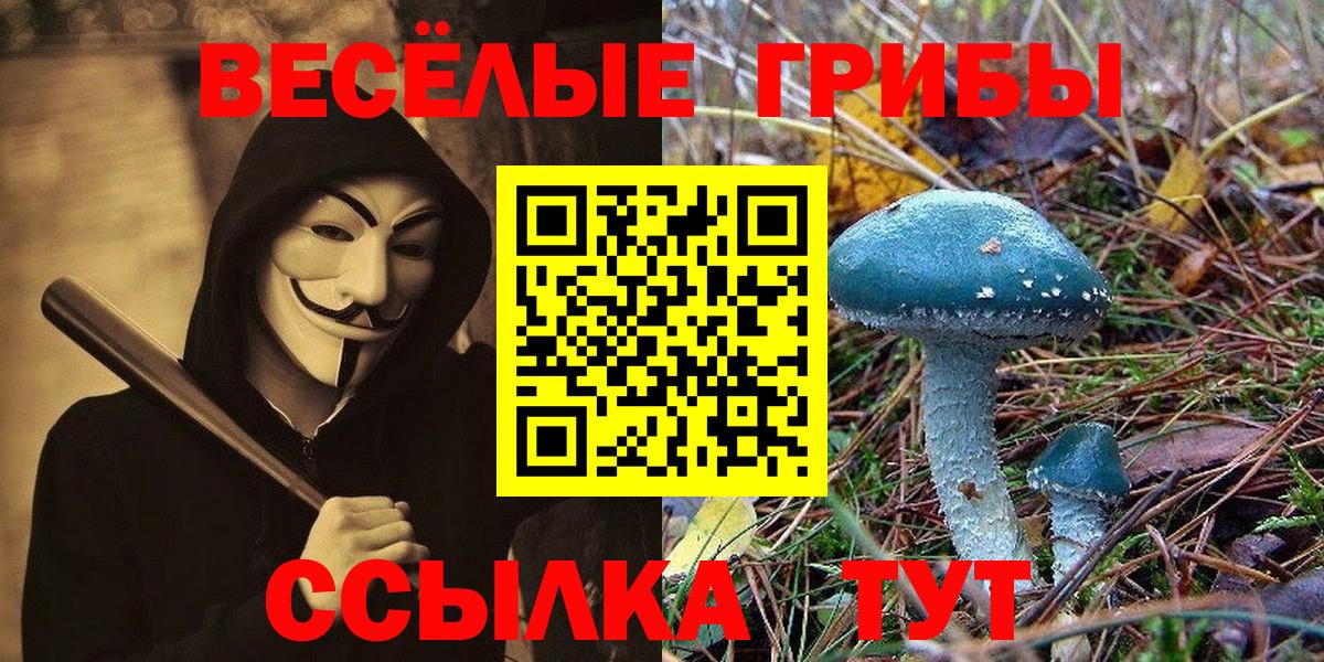 Псилоцибиновые грибы MAGIC MUSHROOMS Горячий Ключ