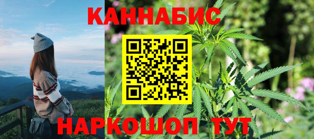 Каннабис планчик Горячий Ключ